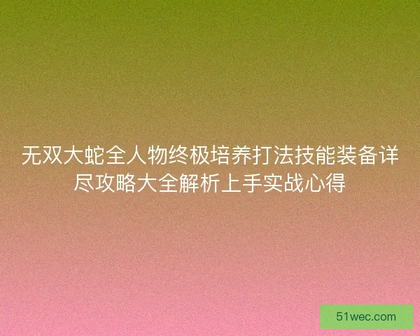 无双大蛇全人物终极培养打法技能装备详尽攻略大全解析上手实战心得