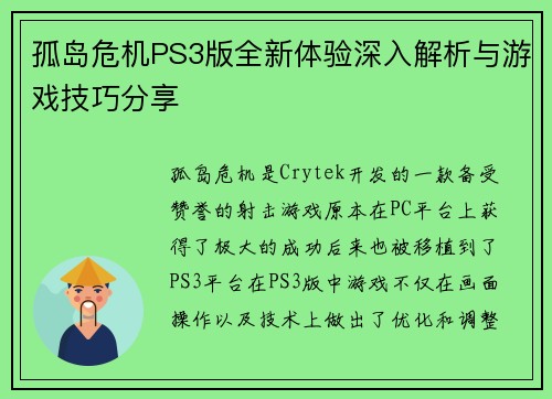 孤岛危机PS3版全新体验深入解析与游戏技巧分享